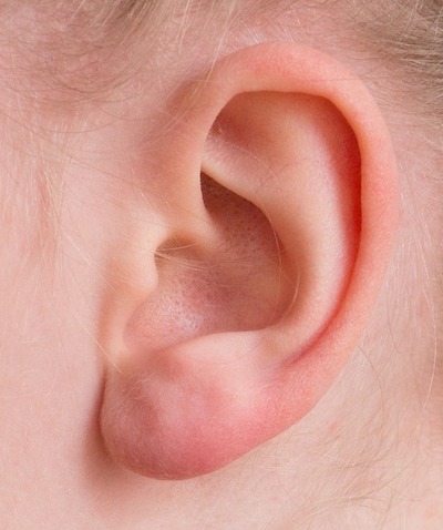 resized-ear
