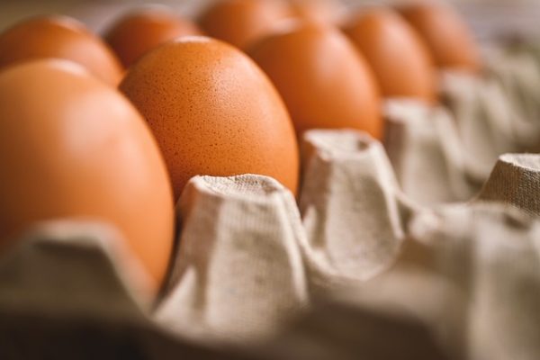 egg-7345934_640-e1749315575144