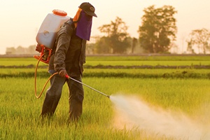 Pesticide Exposure